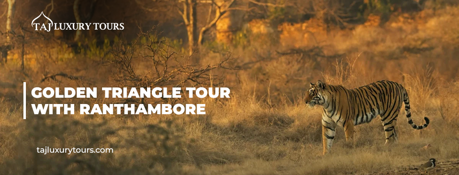 Golden Triangle Tour With Ranthambore